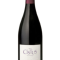 Cistus